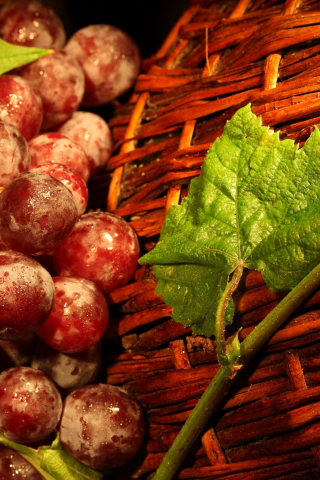 fruits, baskets, 