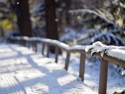 fences, , snow, path