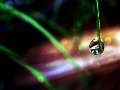 macro, макро, капли воды, water drops, grass, трава