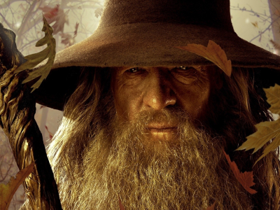 wizards, Gandalf, , lord of the rings battle for middle earth