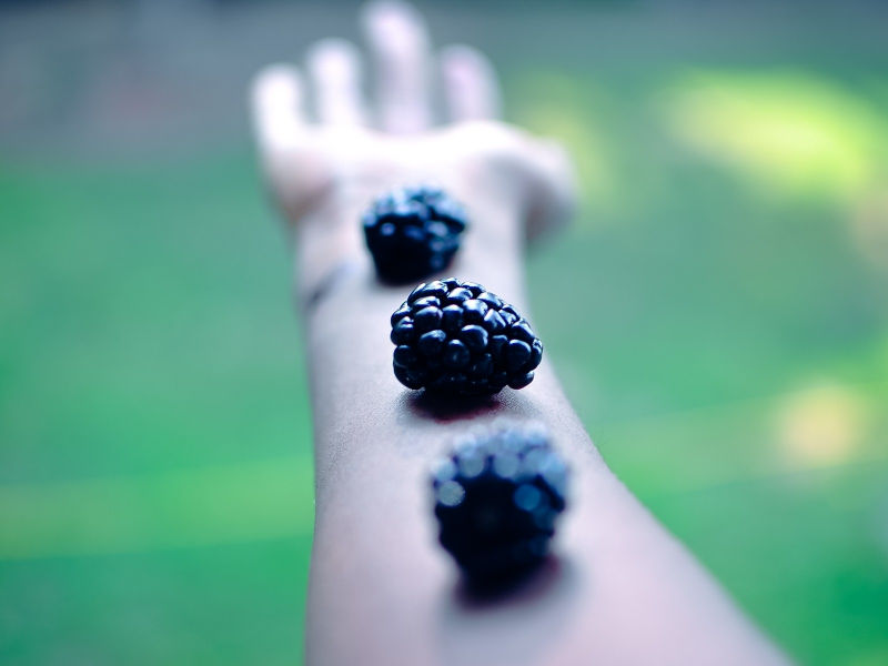 arms, ягоды, blackberries, ежевика, hands, berries, глубина резкости, оружие, руки, фрукты, fruits, depth of field