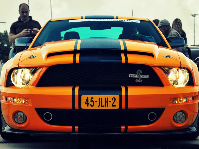 vehicles, Shelby GT500 Supersnake, Ford Mustang, Ford, , cars, Shelby GT500