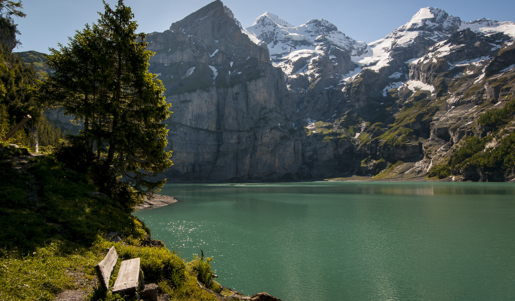 деревья, швейцария, горы, озеро, Switzerland, скамейка