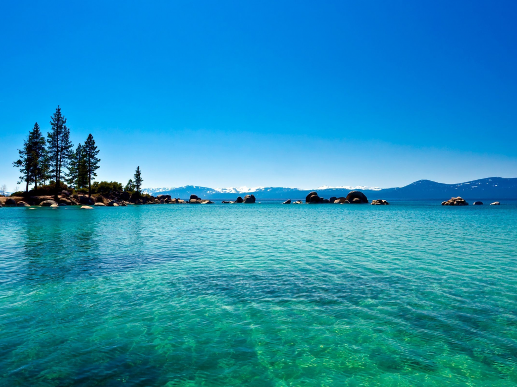 lake tahoe, лес, голубая, Озеро, california, вода