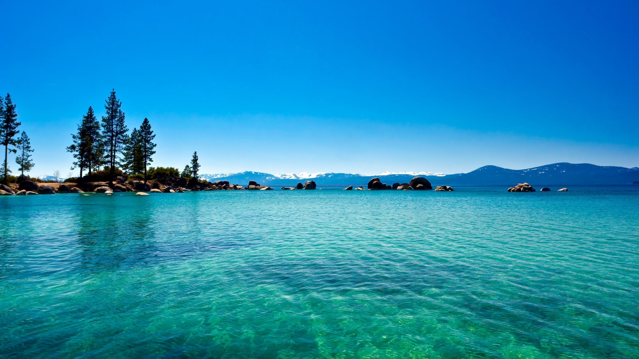 lake tahoe, лес, голубая, Озеро, california, вода