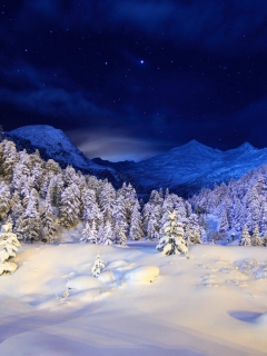 лес, снег, зима, Горы, звёзды, ёлки