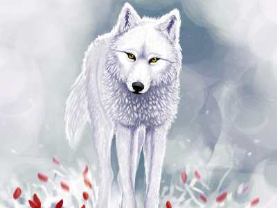 красные цветы, Белый волк, снег, зима