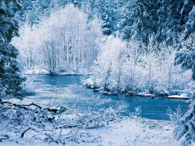 деревья, речка, лес, зима, Природа, снег