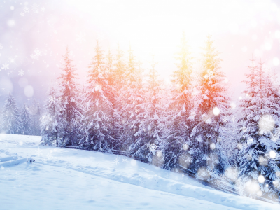 деревья, снег, Природа, горы, пейзаж, зима