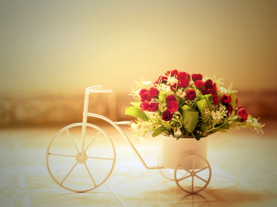 розы, Цветы, велосипед