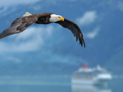 фон, eagle, background, wings, Орел, крылья, корабль, небо, ship, sky