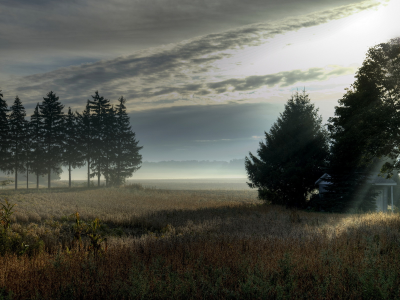 туман, пейзаж, деревья, поле, Утро