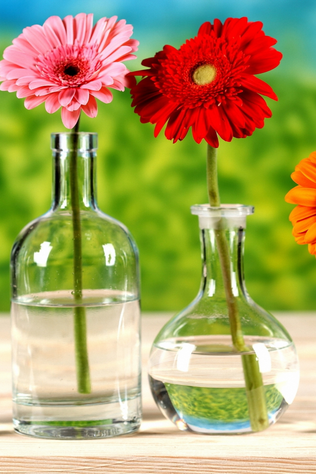 стол, бутылка, хризантемы, Вазы, цветы, вода, яркость
