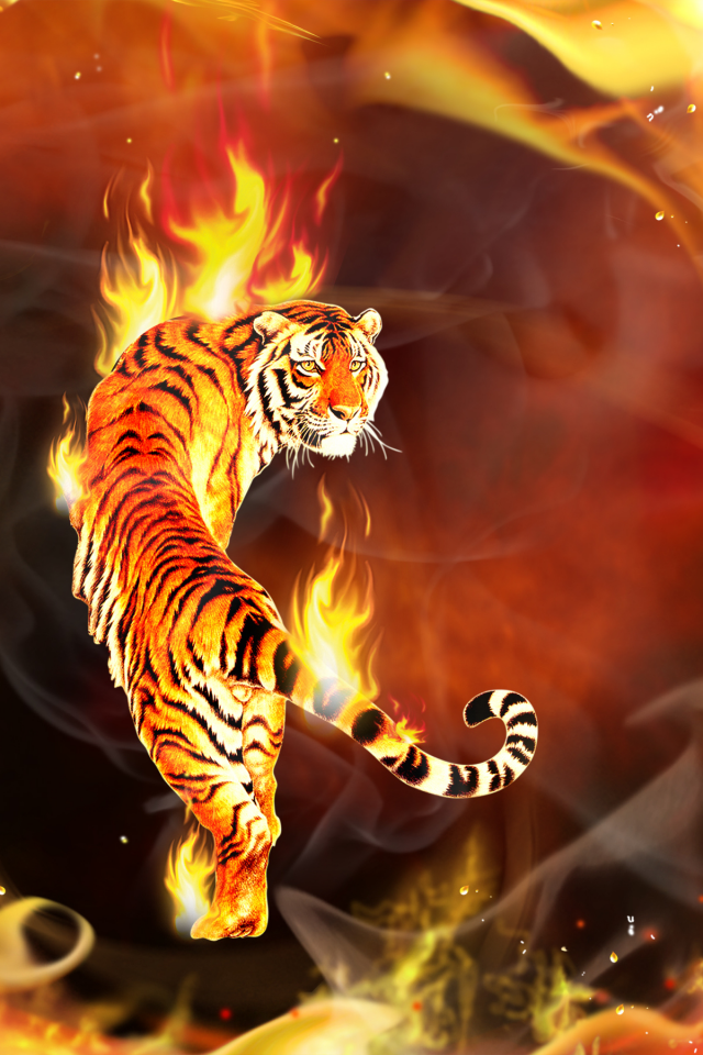 Тигр, вокруг, объятый, пламя, его, пламенем