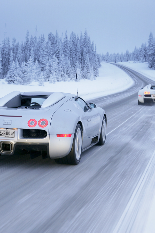 зима, white, winter, Bugatti, снег, veyron, drive