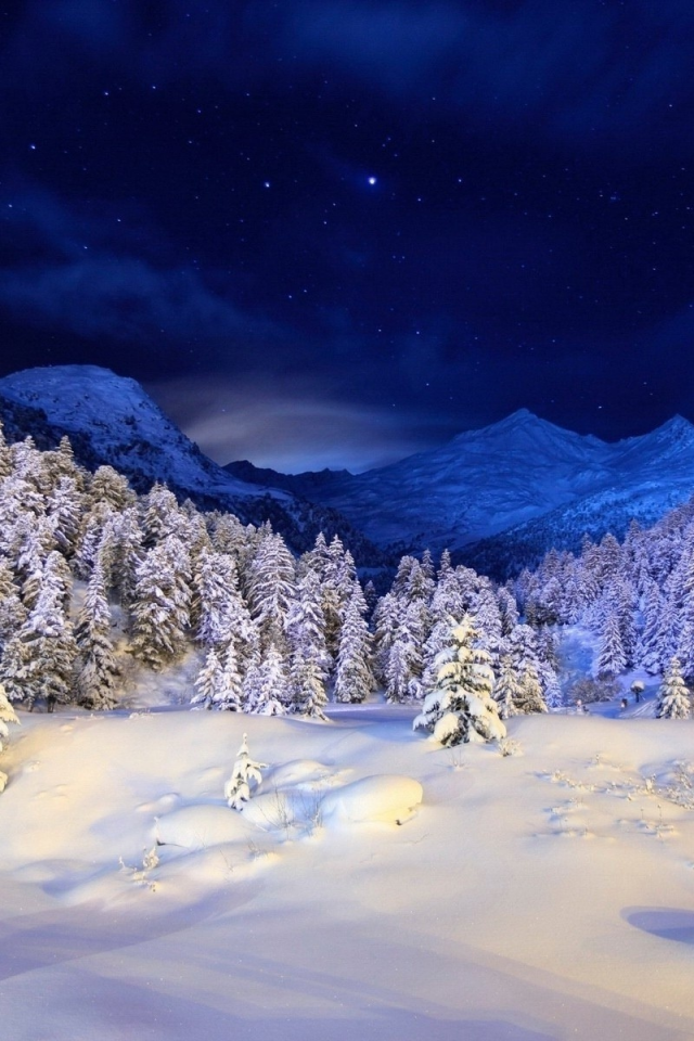 лес, снег, зима, Горы, звёзды, ёлки