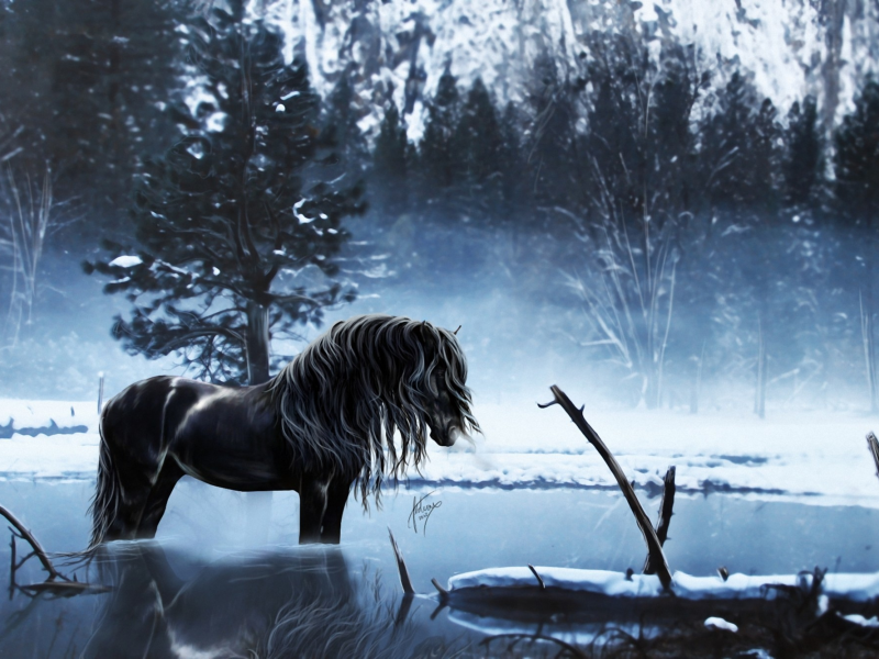 конь, озеро, отражение, снег, зима, Арт, вода, лошадь