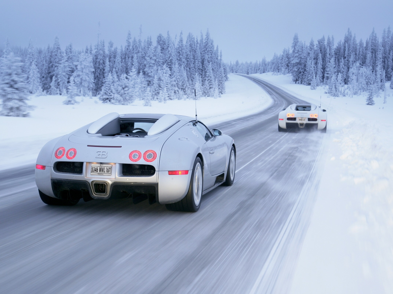 белые автомобили, Зима, white cars, Bugatti Veyron, автомобили, snow, cars, снег, winter
