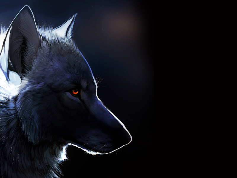 Волк, янтарные глаза, черный фон