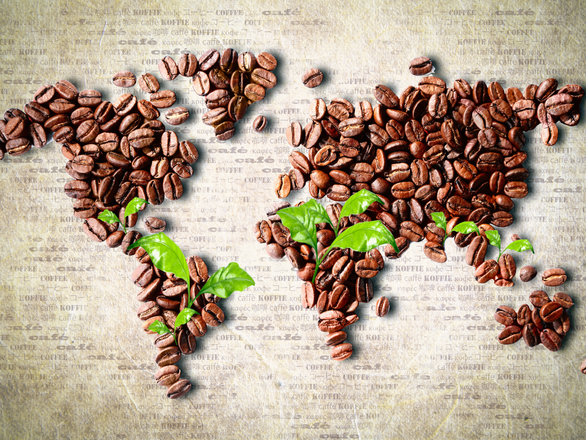 карта, листья, Кофе, зерна, континенты