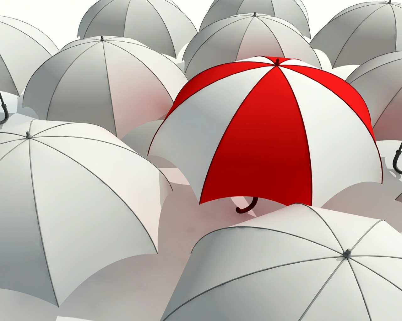 Зонт, белый, зонтик, серость, umbrella, красный, отличие