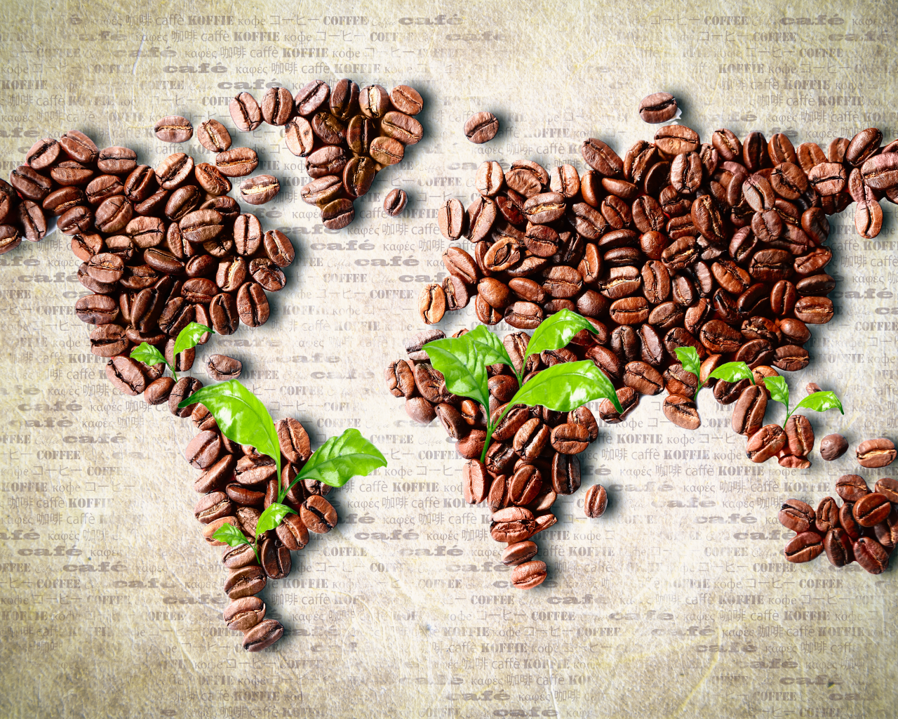 карта, листья, Кофе, зерна, континенты
