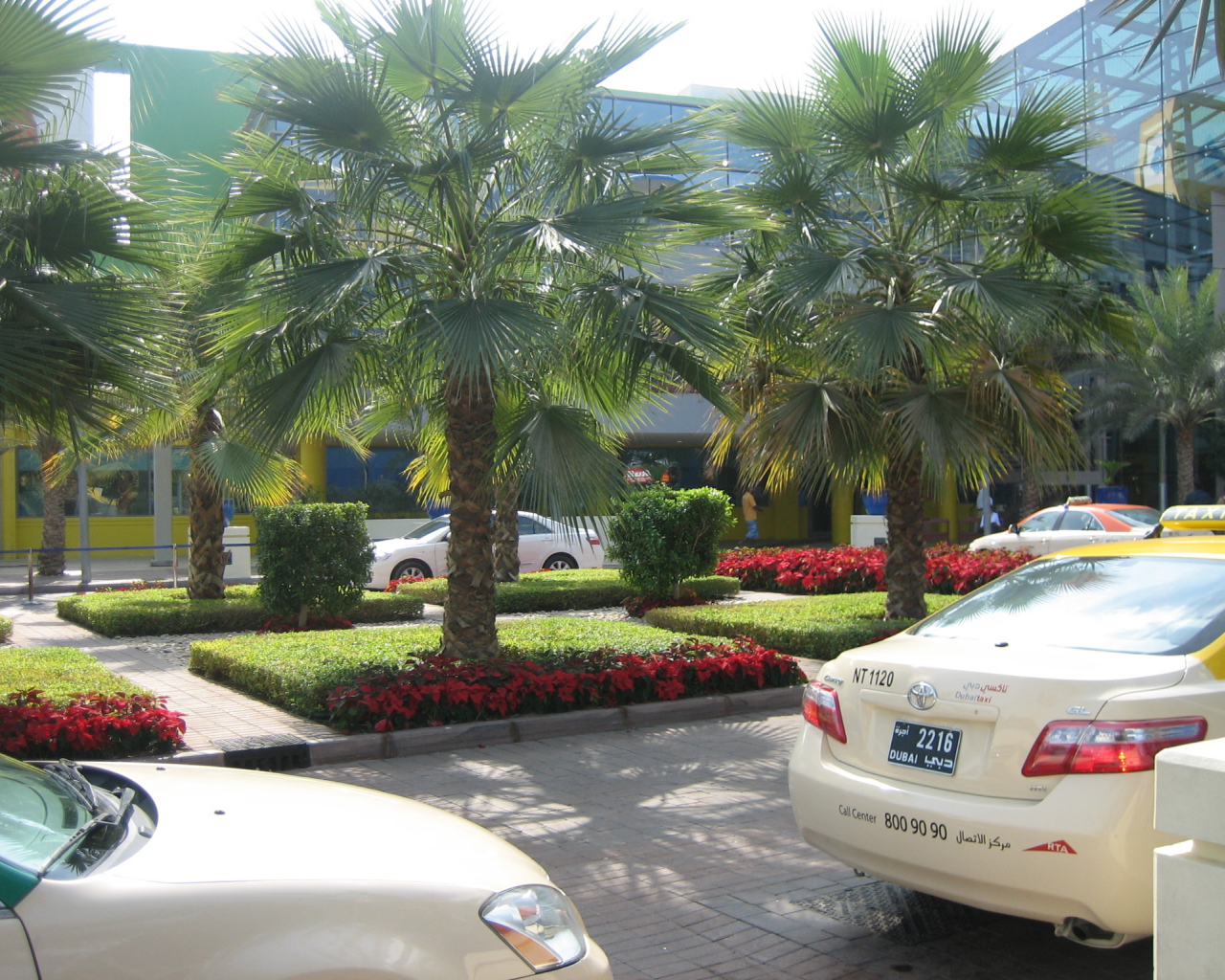 Дубай, пальмы, торговый центр, такси