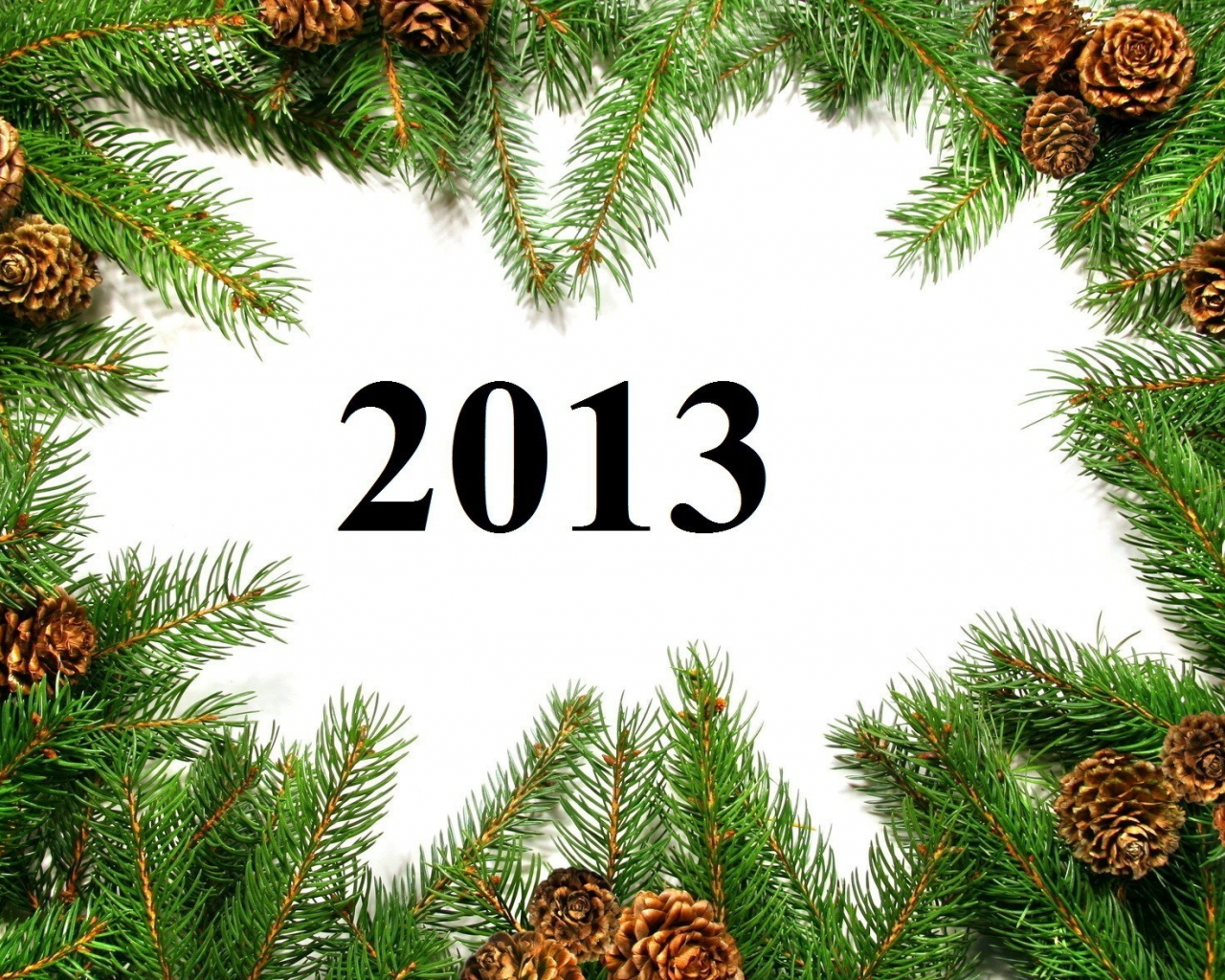 Happy new year, 2013, шишки, новый, ветки, год