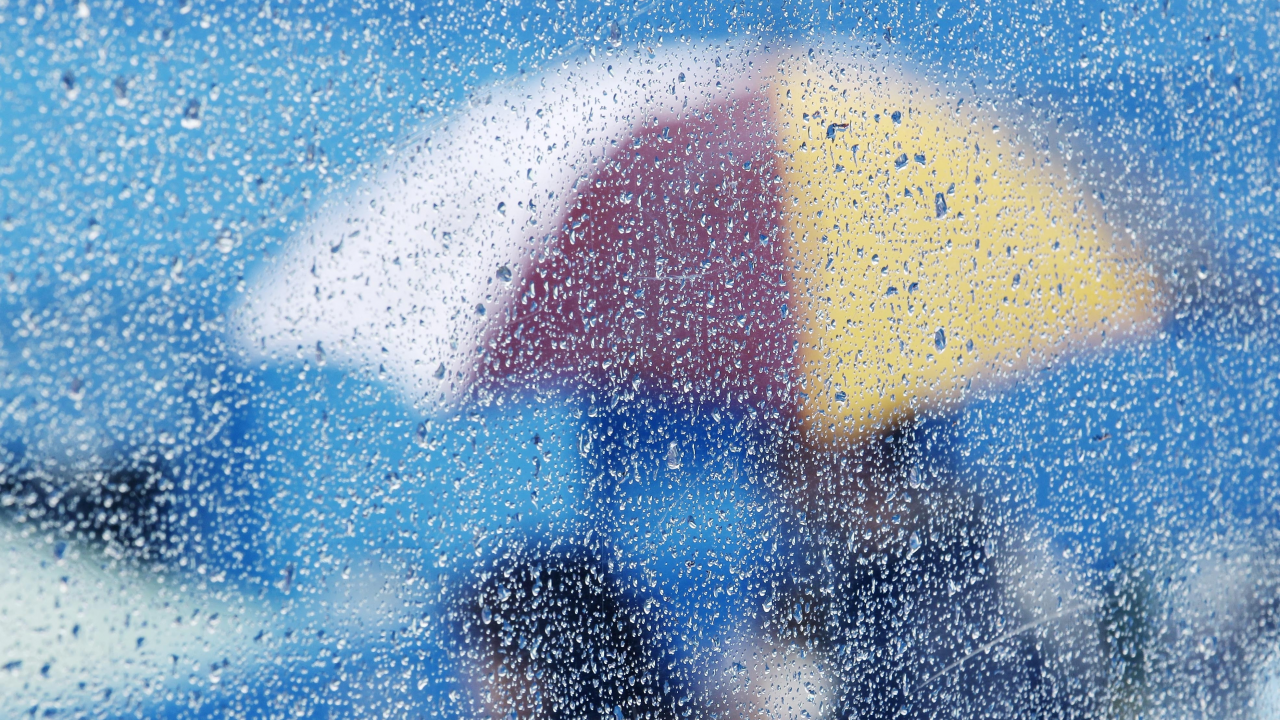 umbrella, Rain, glass