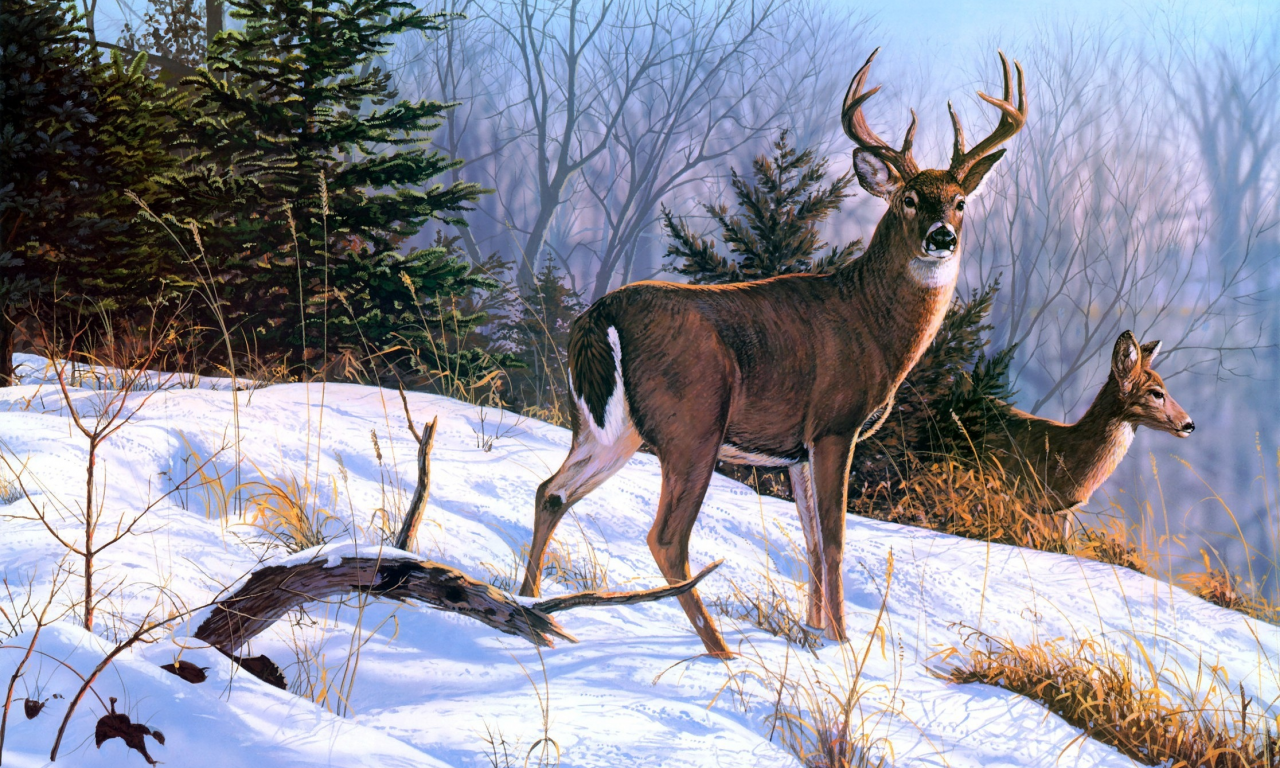 снег, олени, зима, животные, живопись, Bruce miller, on the ridge