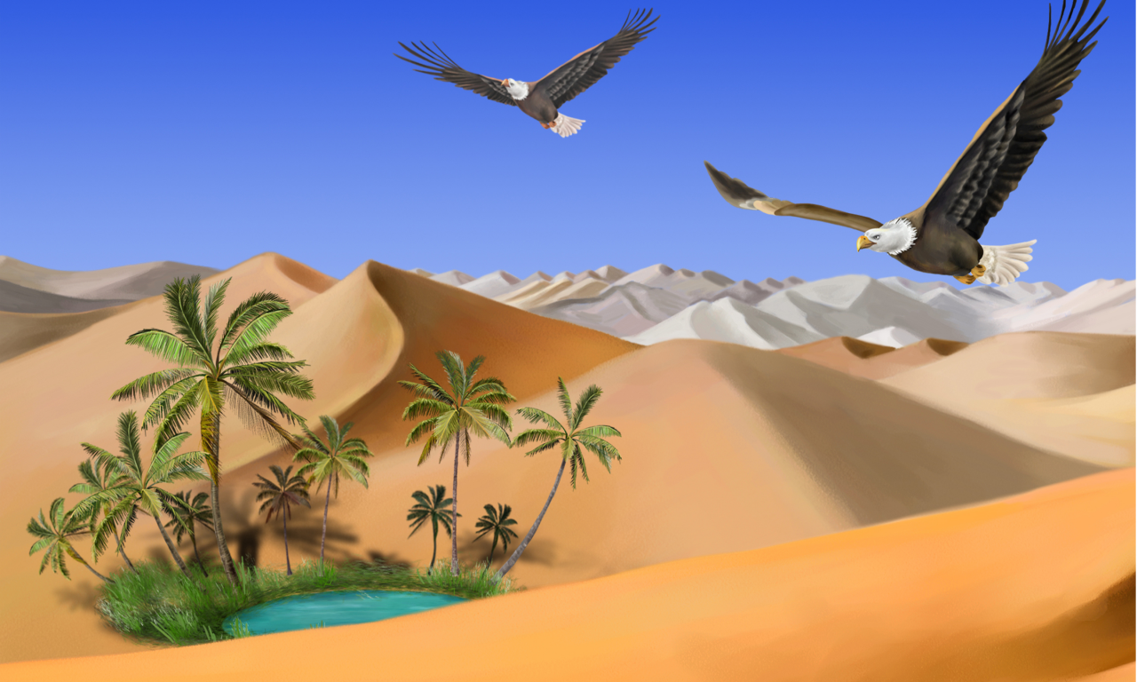 орлов, Пустыня, оазис, пальмы, озеро, песок, полёт