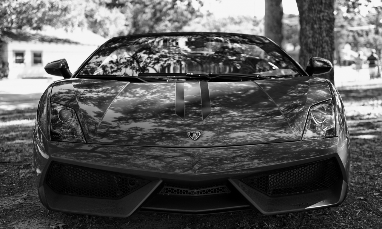 Lamborghini gallardo, моська, суперкар, чб, фары