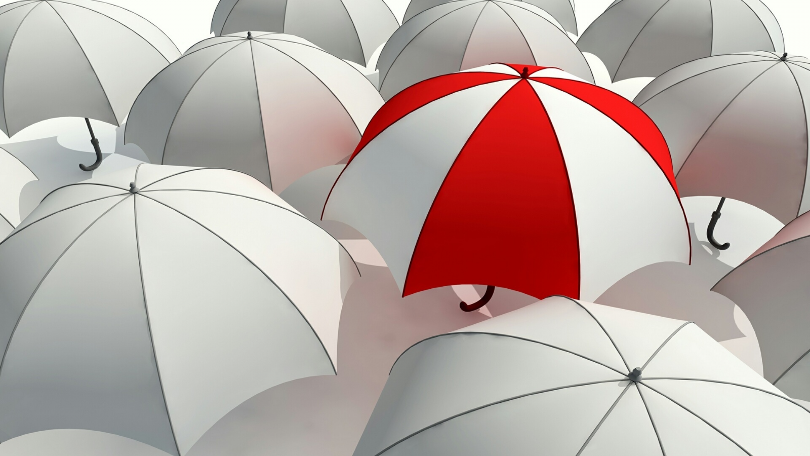 Зонт, белый, зонтик, серость, umbrella, красный, отличие