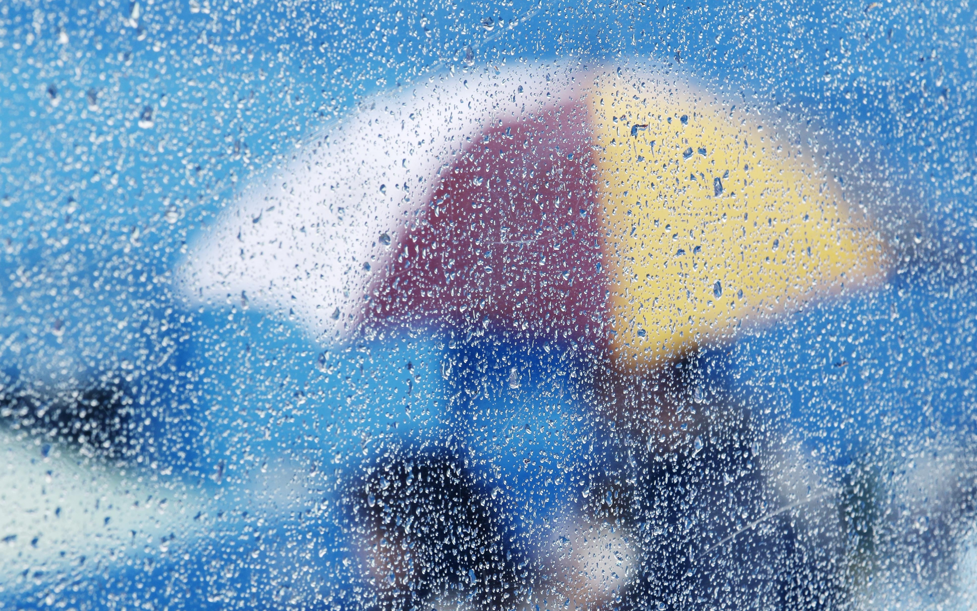 umbrella, Rain, glass