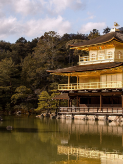 kyoto, japan, The golden pavilion