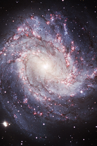 ngc 5236, спиральная, галактика, южная вертушка, M 83