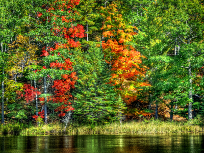 Природа, деревья, осень, вода, озеро, пейзаж, лес