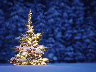 зима, снег, ночь, деревья, рождество, пейзаж, Природа