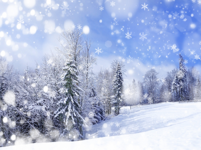 деревья, зима, Природа, горы, снег, пейзаж