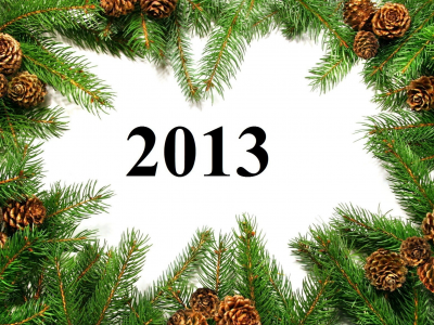 Happy new year, 2013, шишки, новый, ветки, год