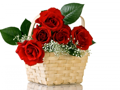 Розы, корзина, букет, красные, цветы, цветок, природа