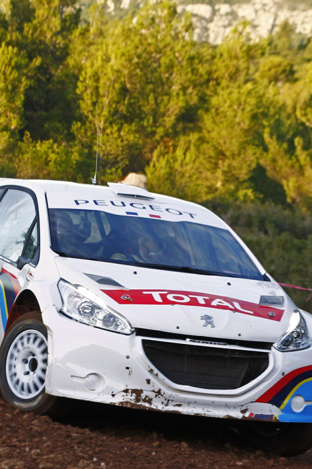 пежо, Peugeot 208 type r5, ралли