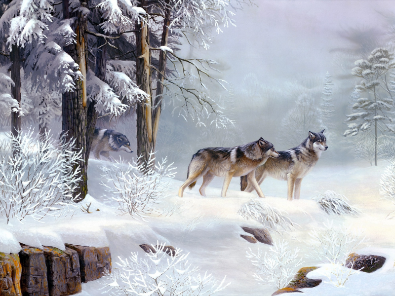 волки, зима, холод, животные, Leo stans, живопись, morning solitude