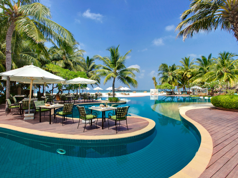 пальмы, Maldives, бассейн, столик, мальдивы, шезлонги