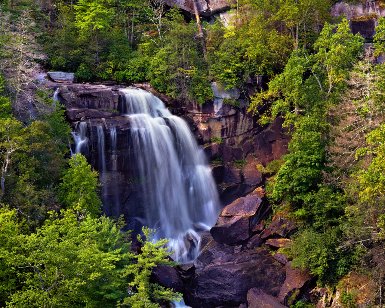 скалы, Whitewater falls, водопад, деревья, поток