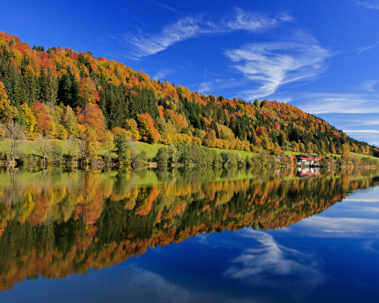 Германия, бавария, деревья, осень, лес, разноцветные