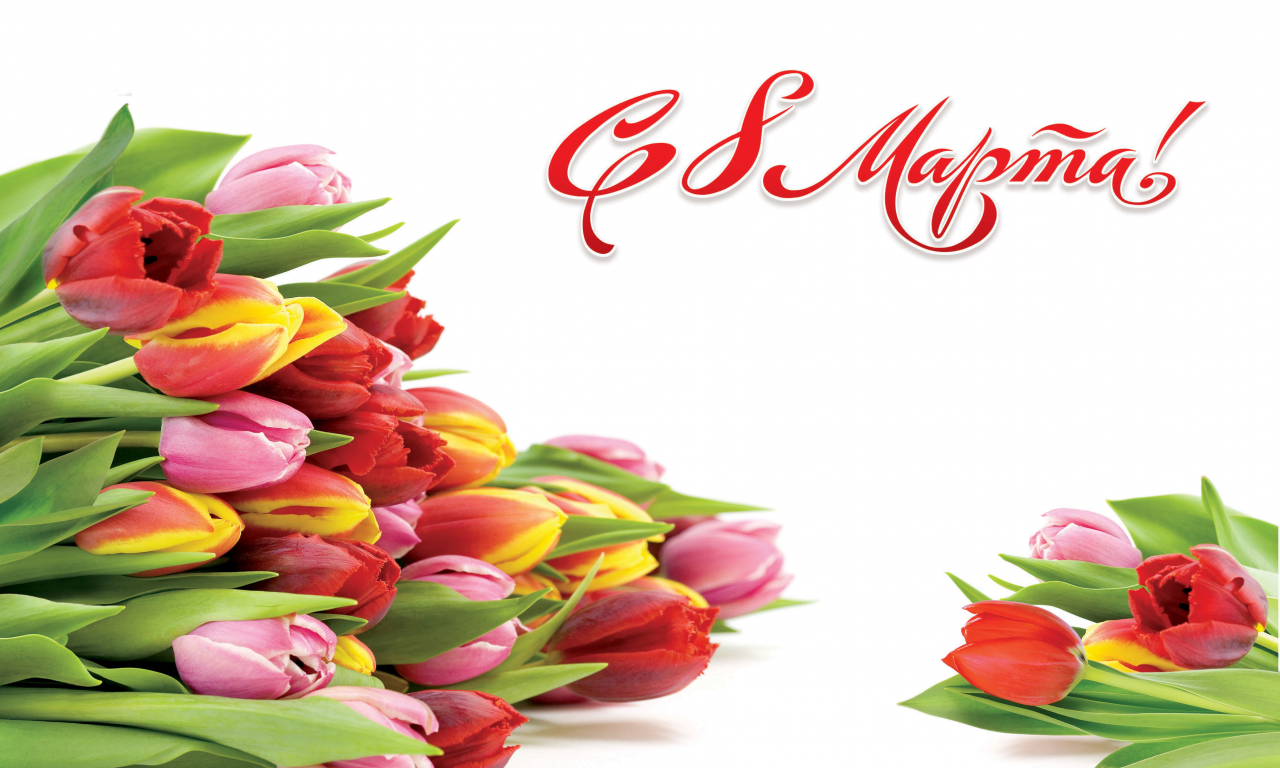 женский день, 8 марта, тюльпаны