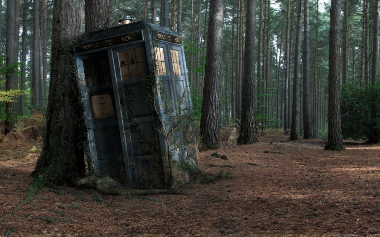 forest, box, tardis, Police box, tree