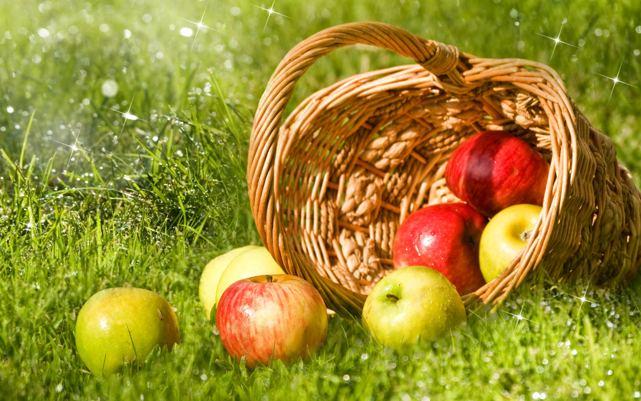 Яблоки, трава, зеленые, корзина, красные, роса, фрукты