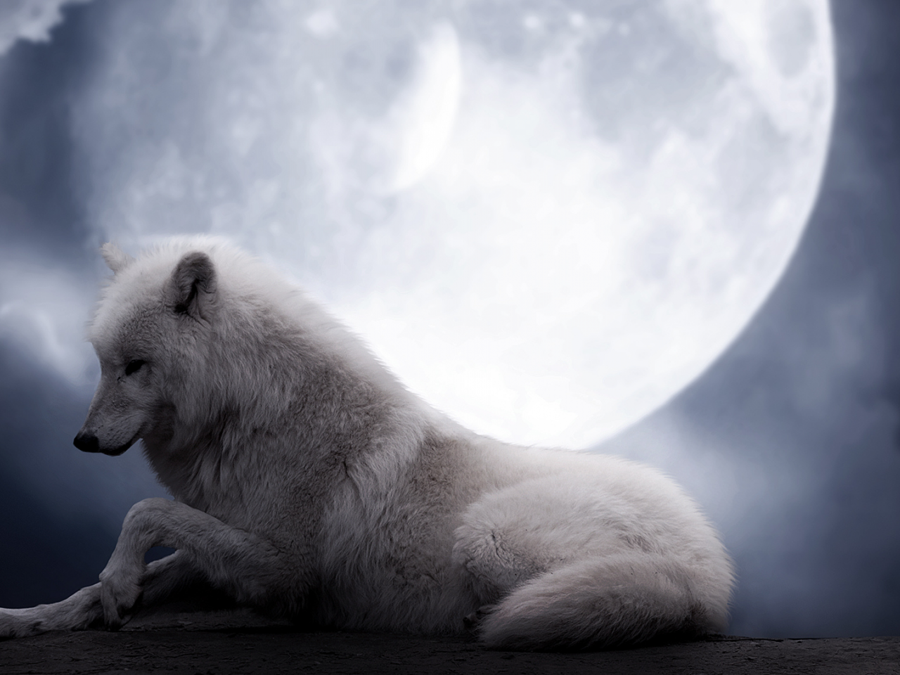луна, Волк, ночь, волчица, красота, фантастика, белый